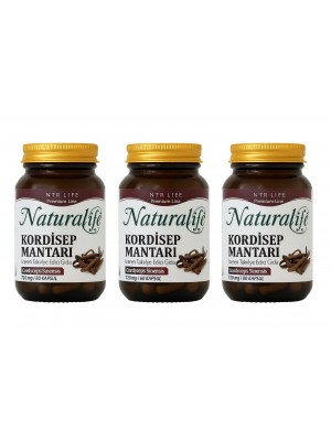 NTR Cordyceps Sinensis 3 lü KAMPANYA